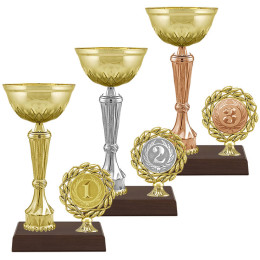 Кубок Бланш 1,2,3 место 4988-230-101