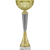 Кубок Фима 5656-270-200