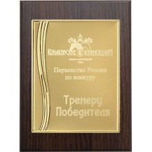 23х31