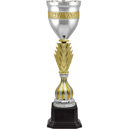 Кубок Бауман 4853-540-210