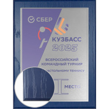 23х31