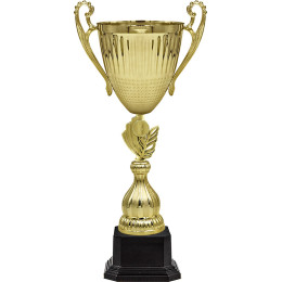 Кубок Майор 4803-450-100