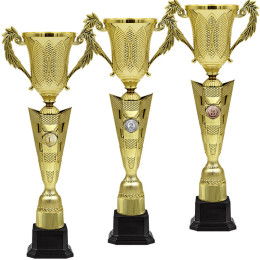 Кубок Кайрат (пластик) 1,2,3 место 4807-480-101