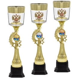 Кубок Гусар 1,2,3 место 4677-360-101