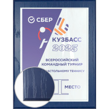 23х31