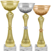 Кубок Сплин 4306-340-100