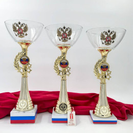 Кубок Элизара 4413-300-100
