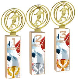 Награда Футбол 1,2,3 место 4880-410-УФ1