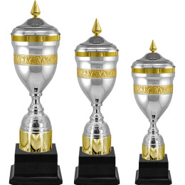 Кубок Кэлвин 5082-580-210