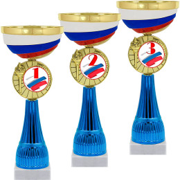 Кубок Чапай 1,2,3 место 4876-290-303