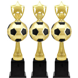 Кубок Рауль 1,2,3 место 5042-380-103