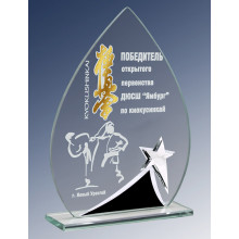 Награда из стекла с гравировкой и фольгой 1665-185-ГРФ