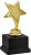 Награда Звезда 1493-160-100
