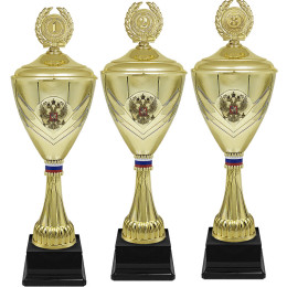 Кубок Атаман 1,2,3 место 4246-530-103