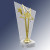 Акриловая награда Звезда 1793-220-001