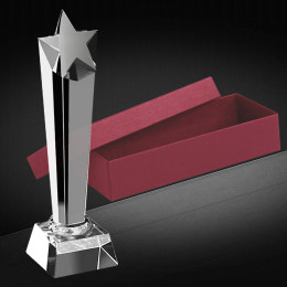 Награда из стекла 2712-240-000