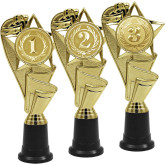 Награда 1,2,3 место 4919-220-103