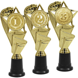 Награда 1,2,3 место 4919-220-103