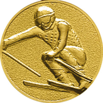 Эмблема лыжный спорт/горный 1109-050-101