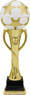 Кубок Арго 4684-380-100