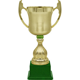 Кубок Миклухо 4824-410-105