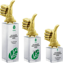 Награда с цветным нанесением 2195-150-УФ0