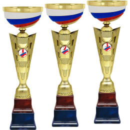 Кубок Святозар 1,2,3 место 4822-410-103