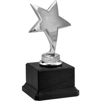 Награда Звезда 1493-160-200