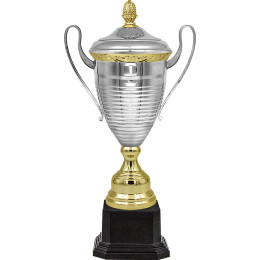 Кубок Марчелло 4767-470-210