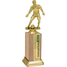 Награда Футболист на деревянном бруске 2851-265-000