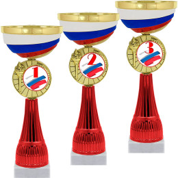 Кубок Чапай 1,2,3 место 4876-290-203