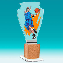 Акриловая награда Баскетбол 2487-230-002
