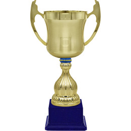 Кубок Миклухо 4824-410-103