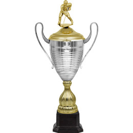 Кубок Линдрос (хоккей) 4917-540-120