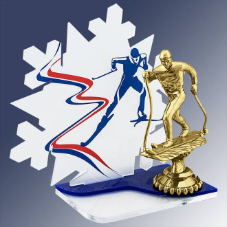 Акриловая награда Лыжный спорт 1737-160-000
