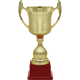 Кубок Миклухо 4824-410-102