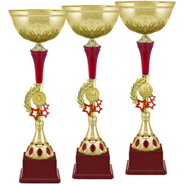 Кубок Марфа 1,2,3 место 4504-410-203