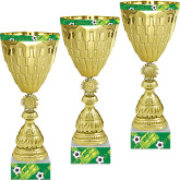 Кубок Ривелино (Футбол) 1,2,3 место 4450-350-Ф03