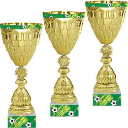 Кубок Ривелино (Футбол) 1,2,3 место 4450-350-Ф03