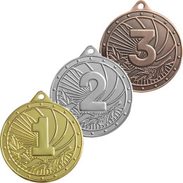 Комплект медалей Гаринка (3 медали) 3701-050-000