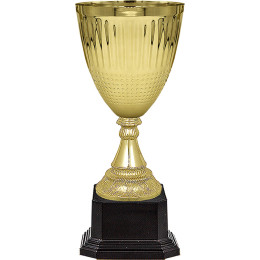 Кубок Фэмили 4888-250-100