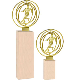 Награда Футбол (без нанесения) 4880-250-100