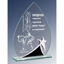 Награда из стекла с лазерной гравировкой 1665-185-ГР0