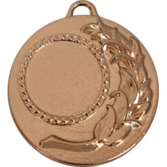 Медаль Тулома 3647-050-300