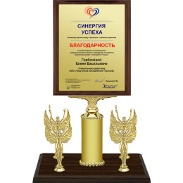 Награда на подставке с цветной печатью 5001-350-100