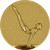 Эмблема гимнастика жен 1124-050-100