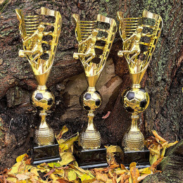 Кубок-награда Бастиан футбол (пластик) 4835-500-100