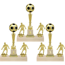 Кубок Роберто 1,2,3 место 4981-330-103